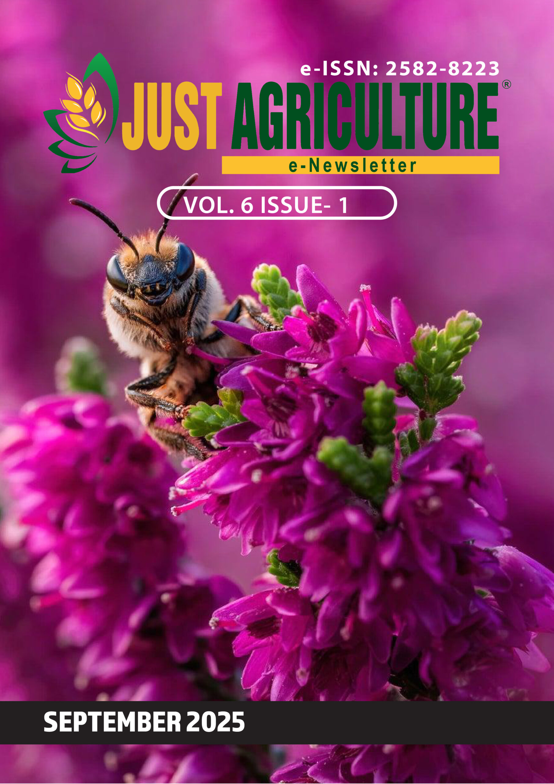 NEWSLETTER COVER September2025