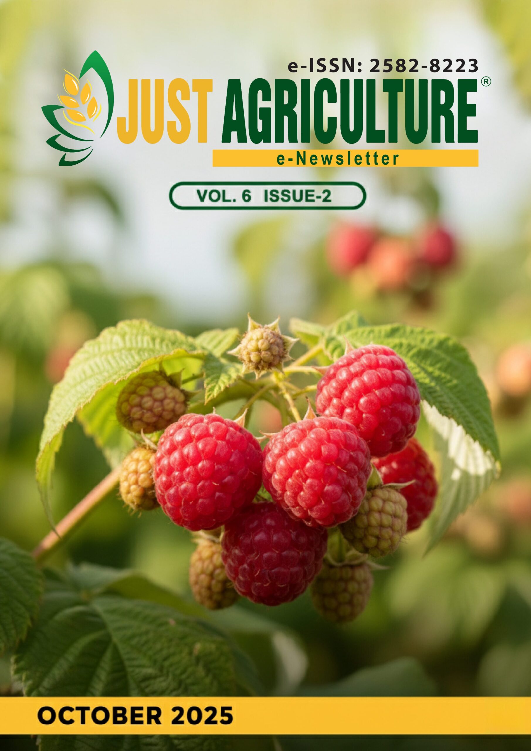 October NEWSLETTER COVER PAGE