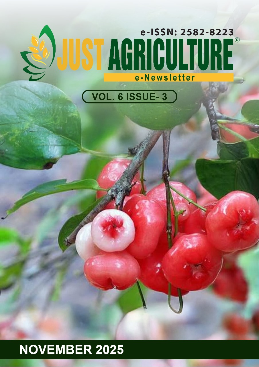 Newsletter November-Cover