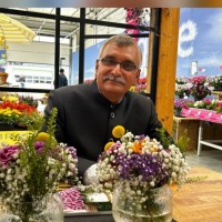 Regional Director, NMPB, HP