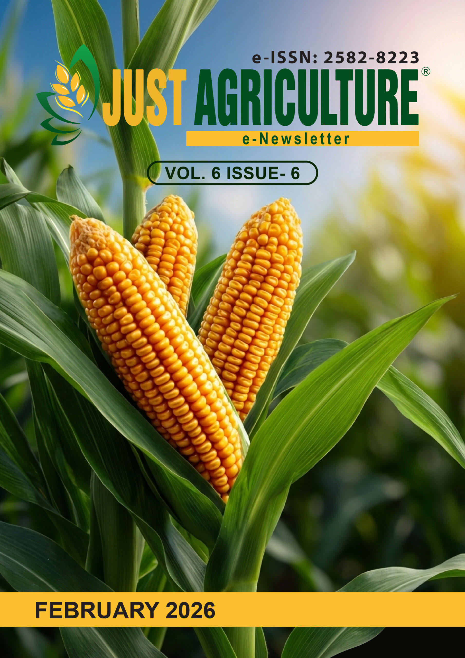 NEWSLETTER COVER PAGE