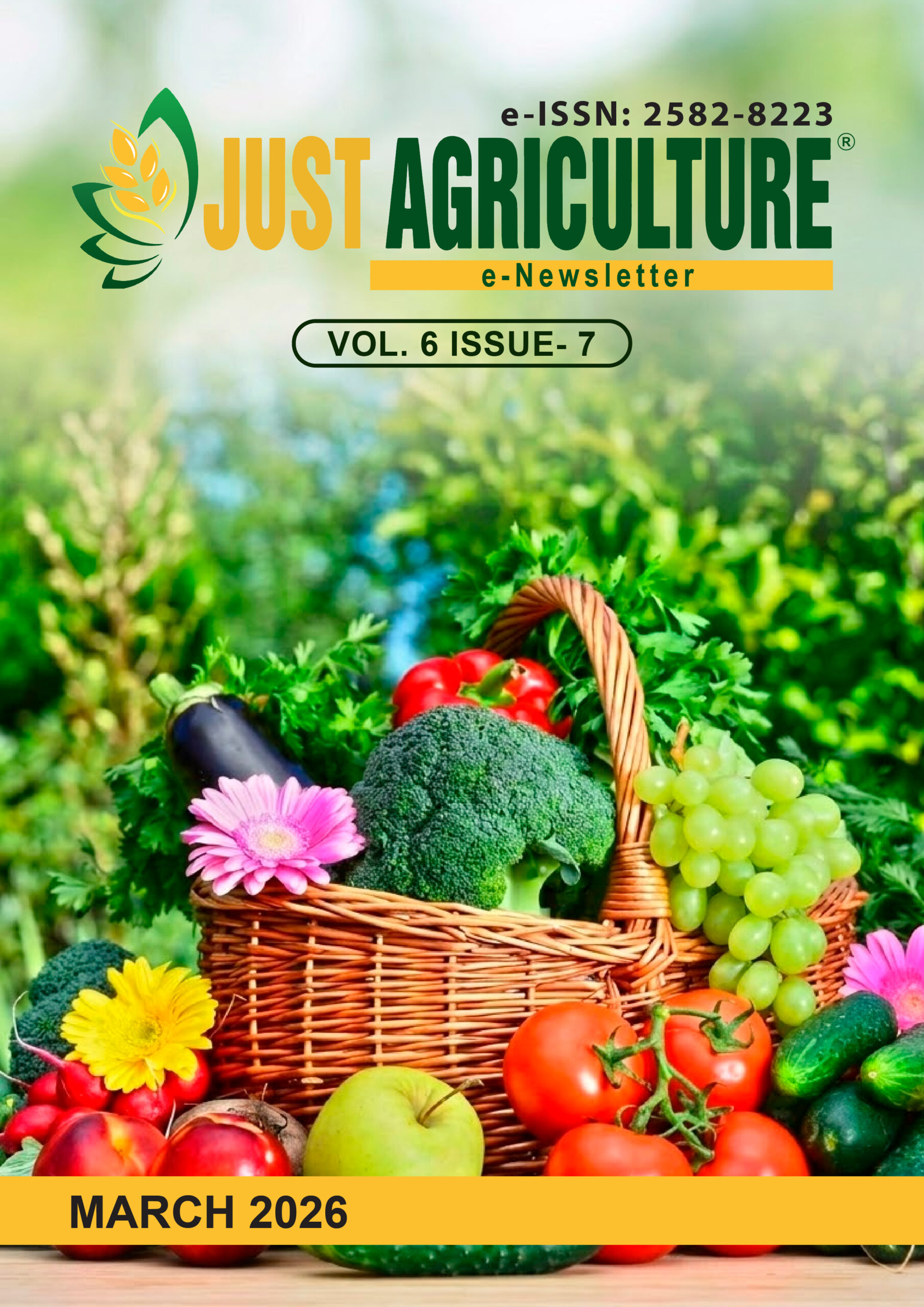 NEWSLETTER COVER PAGE2