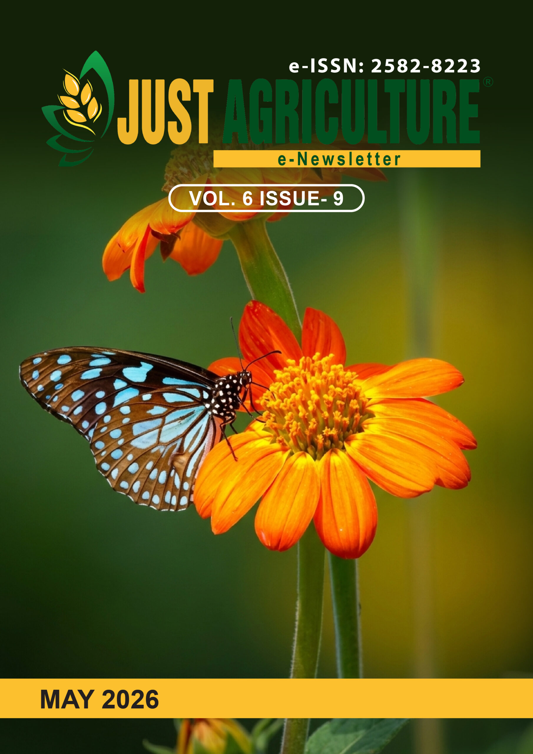 NEWSLETTER COVER PAGE (1)